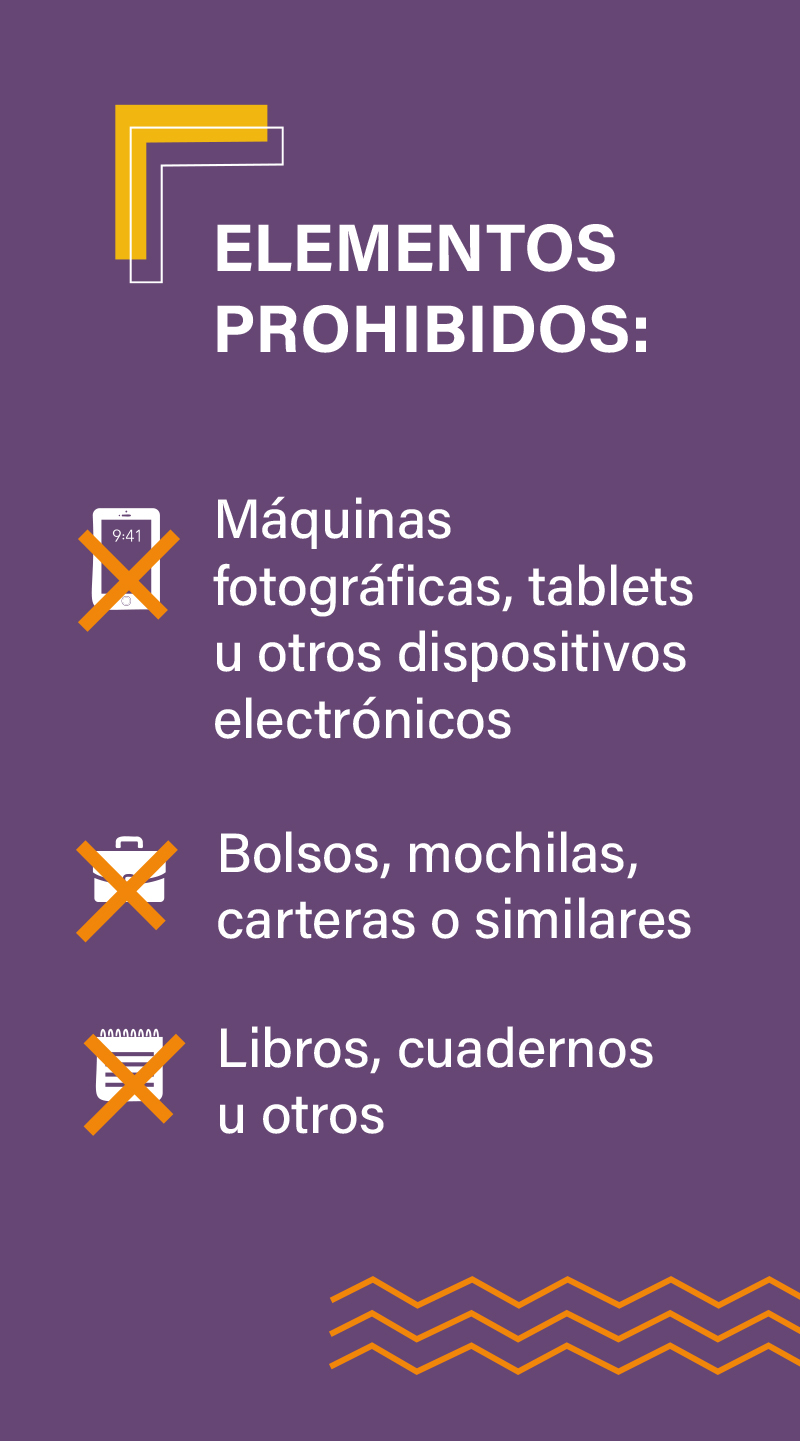 Qu&eacute; llevar y qu&eacute; no