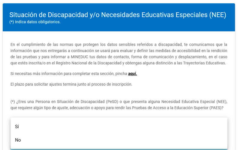 Persona en situación de discapacidad y/o necesidades educativas especiales (NEE)